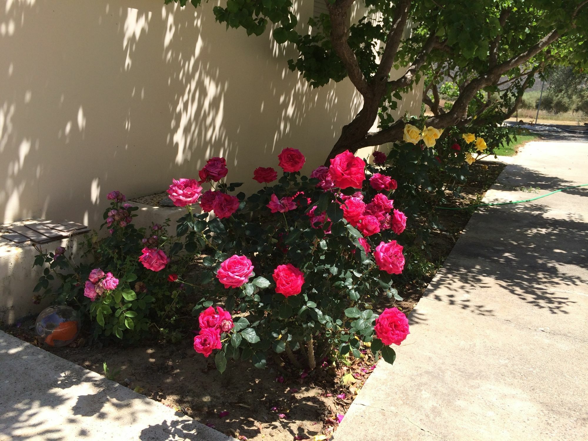 Himonas Apartments Pissouri Exterior photo